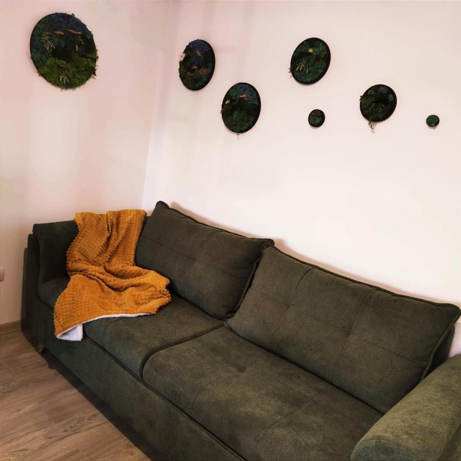 Cozy Studio Apartment Brasov Exterior photo