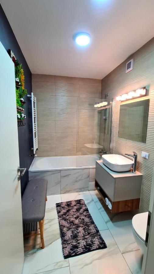 Cozy Studio Apartment Brasov Exterior photo